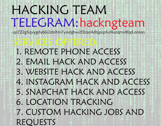 hacking team services